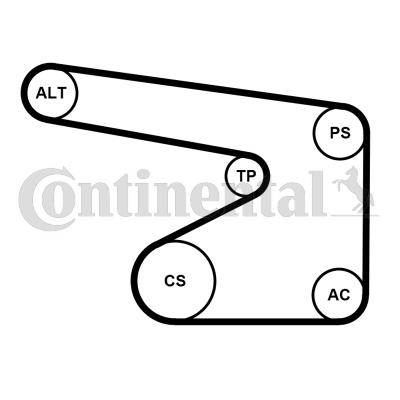 Continental 5PK1355WP1 - Pompa acqua + Kit cinghia Poly V autozon.pro