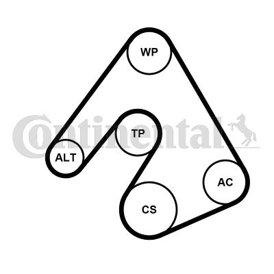 Continental 5PK1207K1 - Kit Cinghie Poly-V autozon.pro