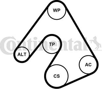 CONTITECH 5PK1207K1 - Kit Cinghie Poly-V autozon.pro