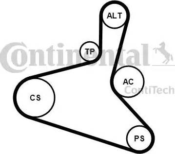 Continental 6DPK1195K1 - Kit Cinghie Poly-V autozon.pro