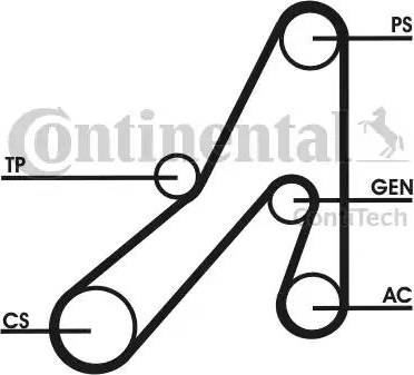 Continental 6DPK1841D1 - Cinghia Poly-V autozon.pro