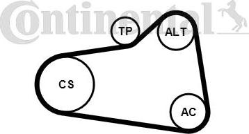 Contitech 6PK905 EXTRA K1 - Kit Cinghie Poly-V autozon.pro