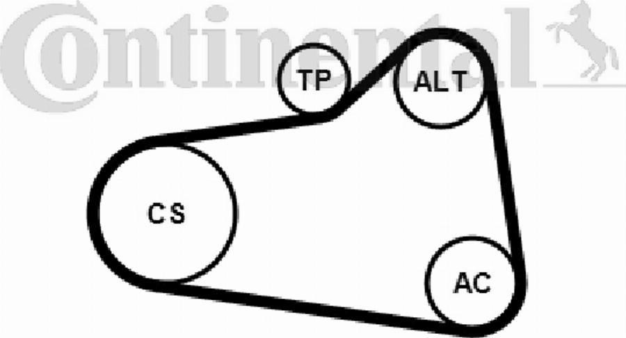 CONTITECH 6PK906K2 - Kit Cinghie Poly-V autozon.pro