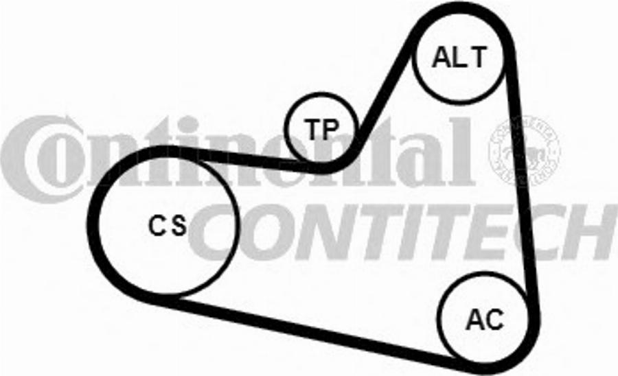 Contitech 6PK976K2 - Kit Cinghie Poly-V autozon.pro