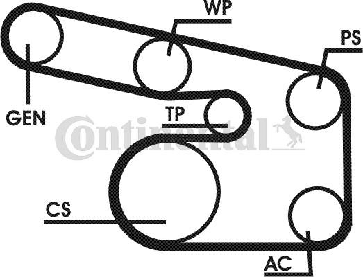 Contitech 6PK1900D1 - Kit Cinghie Poly-V autozon.pro