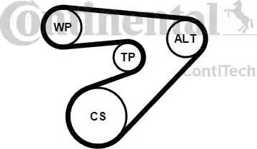 Continental 6PK1453K2 - Kit Cinghie Poly-V autozon.pro