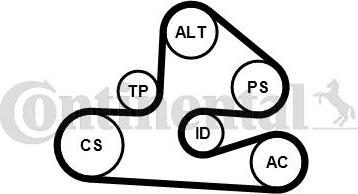 Contitech 6PK1590K1 - Kit Cinghie Poly-V autozon.pro