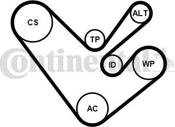 Contitech 6PK1555K4 - Kit Cinghie Poly-V autozon.pro