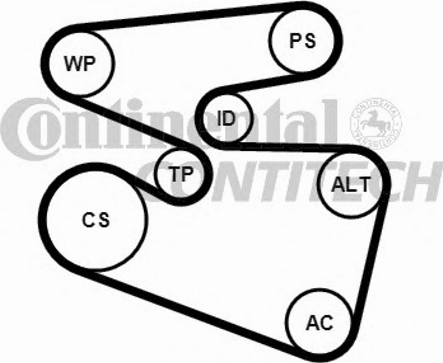 Contitech 6PK1555K3 - Cinghia Poly-V autozon.pro