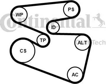 Continental 6PK1555K3 - Kit Cinghie Poly-V autozon.pro