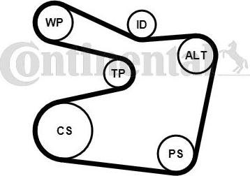 CONTITECH 6PK1555K2 - Kit Cinghie Poly-V autozon.pro