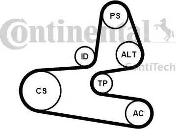 Continental 6PK1564K1 - Kit Cinghie Poly-V autozon.pro