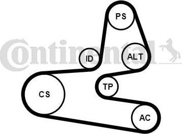 Contitech 6PK1564K1 - Kit Cinghie Poly-V autozon.pro