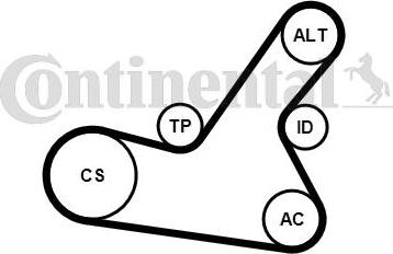 Contitech 6PK1564K2 - Kit Cinghie Poly-V autozon.pro