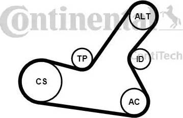 Continental 6PK1564K2 - Kit Cinghie Poly-V autozon.pro