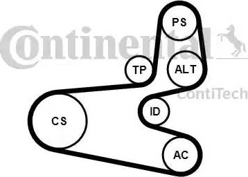 Continental 6PK1560K1 - Kit Cinghie Poly-V autozon.pro