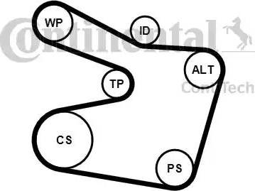 Continental 6PK1538K2 - Kit Cinghie Poly-V autozon.pro