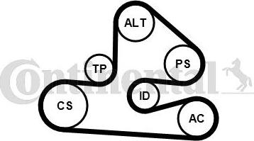 Contitech 6PK1570K1 - Kit Cinghie Poly-V autozon.pro
