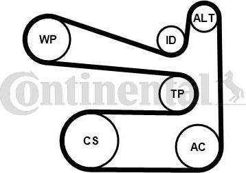 Continental 6PK1693K1 - Kit Cinghie Poly-V autozon.pro