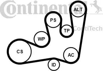 Continental 6PK1642K1 - Kit Cinghie Poly-V autozon.pro