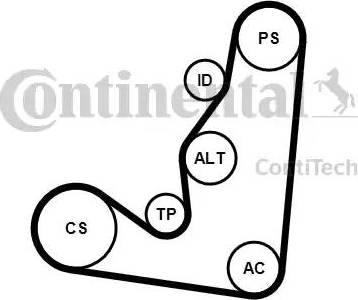 Continental 6PK1660K4 - Kit Cinghie Poly-V autozon.pro