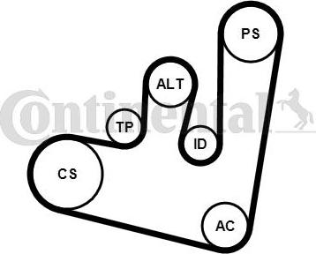 Contitech 6PK1660K1 - Kit Cinghie Poly-V autozon.pro