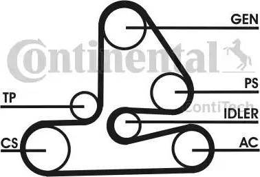 Continental 6PK1613D1 - Kit Cinghie Poly-V autozon.pro