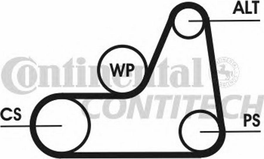 Contitech 6PK1042 ELAST T3 - Cinghia Poly-V autozon.pro