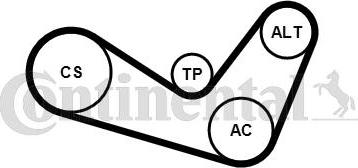 CONTITECH 6 PK 1050 K1 - Kit Cinghie Poly-V autozon.pro