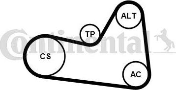 CONTITECH 6 PK 1026 K1 - Kit Cinghie Poly-V autozon.pro