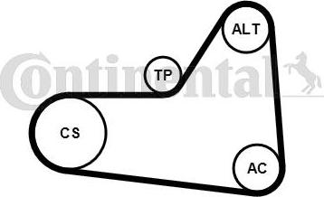 CONTITECH 6 PK 1070 K1 - Kit Cinghie Poly-V autozon.pro