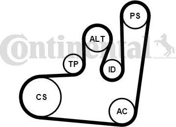 Contitech 6PK1145K1 - Kit Cinghie Poly-V autozon.pro