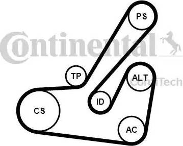 Continental 6PK1145K2 - Kit Cinghie Poly-V autozon.pro