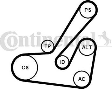 Contitech 6PK1145K2 - Kit Cinghie Poly-V autozon.pro