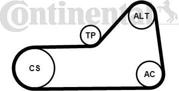 Contitech 6PK1153K1 - Kit Cinghie Poly-V autozon.pro