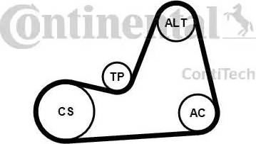 Continental 6PK1100K1 - Kit Cinghie Poly-V autozon.pro