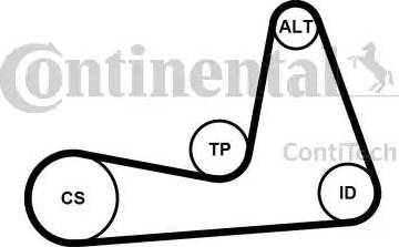 Continental 6PK1130K1 - Kit Cinghie Poly-V autozon.pro