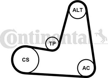 Contitech 6PK1130K2 - Kit Cinghie Poly-V autozon.pro