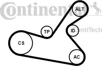 Continental 6PK1125K1 - Kit Cinghie Poly-V autozon.pro