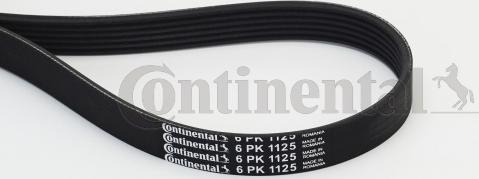 Contitech 6PK1125 - Cinghia Poly-V autozon.pro