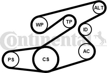 Continental 6PK1836K1 - Kit Cinghie Poly-V autozon.pro