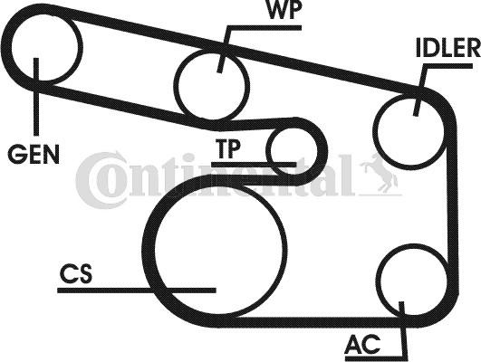 Contitech 6PK1873D1 - Kit Cinghie Poly-V autozon.pro