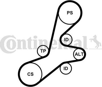 Contitech 6PK1352K1 - Kit Cinghie Poly-V autozon.pro