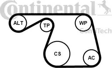 Continental 6PK1310K1 - Kit Cinghie Poly-V autozon.pro