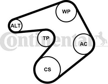 Contitech 6PK1244K1 - Kit Cinghie Poly-V autozon.pro