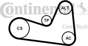 Continental 6PK1200K1 - Tendicinghia, Cinghia Poly-V autozon.pro