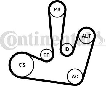 Contitech 6PK1795K1 - Kit Cinghie Poly-V autozon.pro