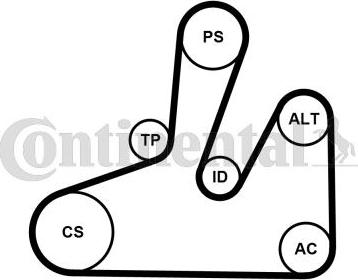 Contitech 6PK1740K4 - Kit Cinghie Poly-V autozon.pro