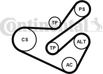 Contitech 6PK1740K1 - Kit Cinghie Poly-V autozon.pro