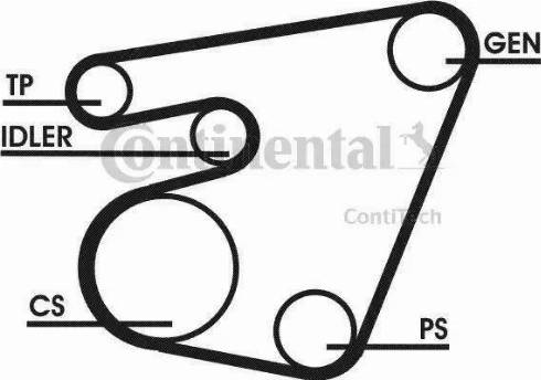 Continental 6PK1750D1 - Kit Cinghie Poly-V autozon.pro